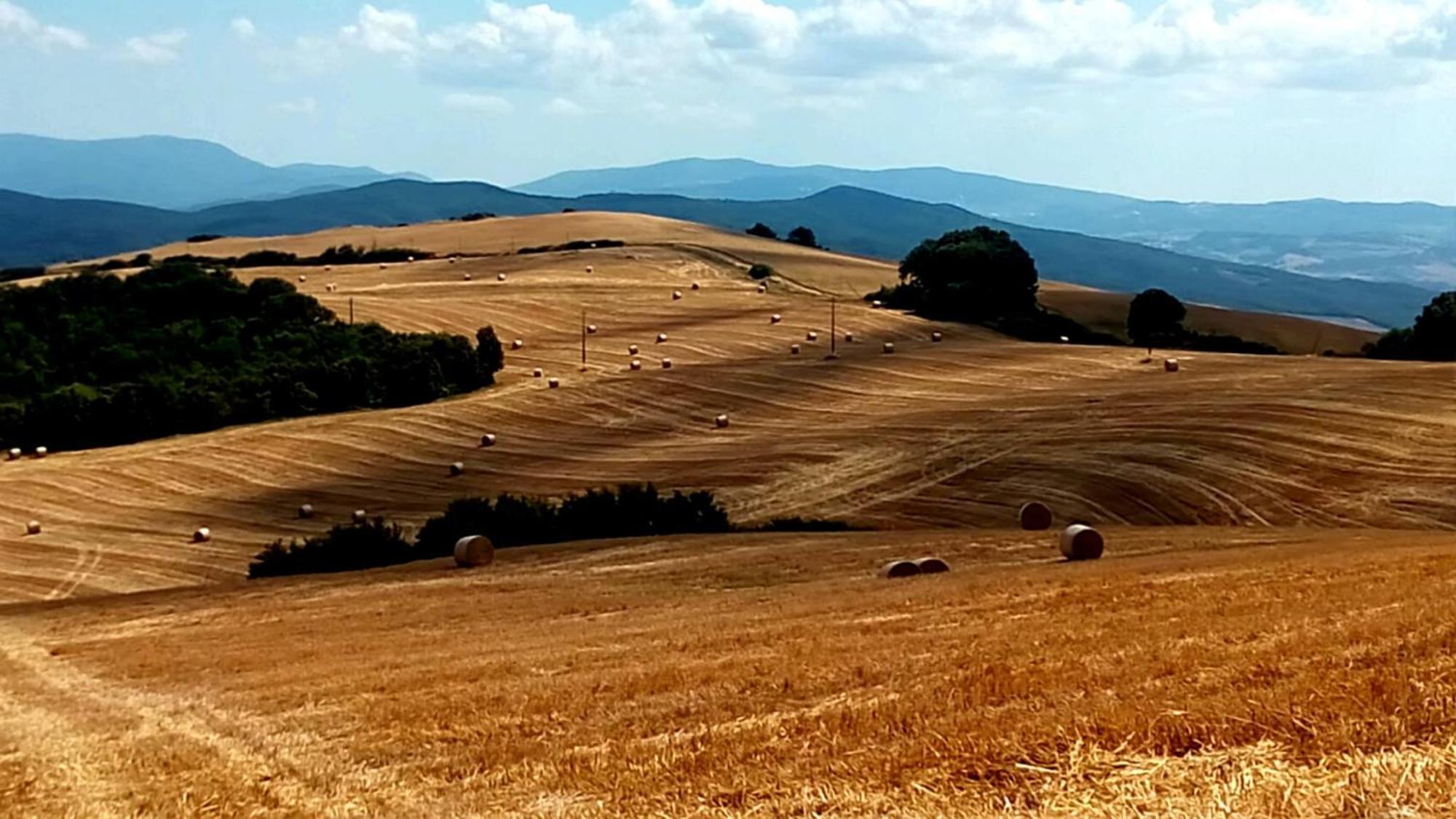La Pecora Verde San Gimignano Exterior foto